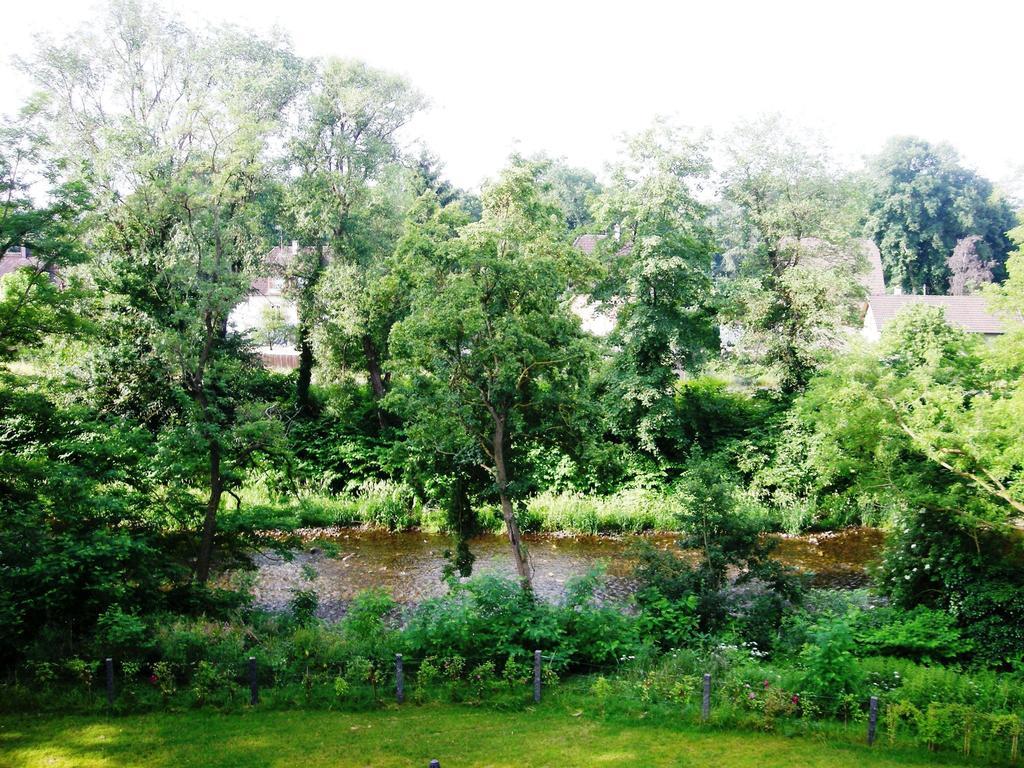 Aux Berges De La Thur Staffelfelden Dış mekan fotoğraf