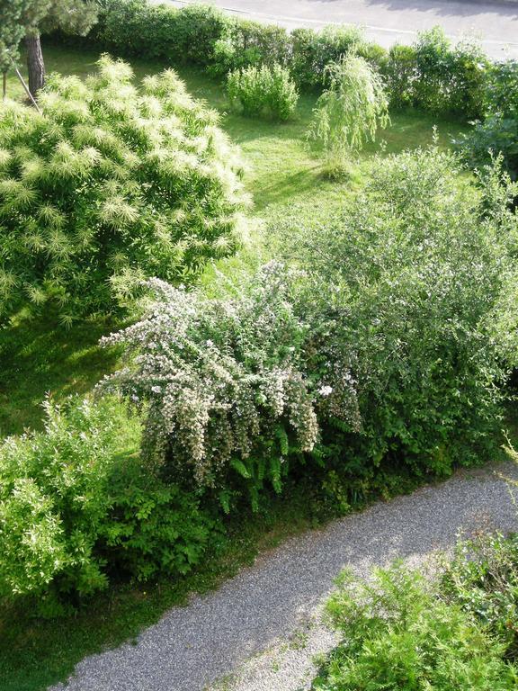 Aux Berges De La Thur Staffelfelden Dış mekan fotoğraf