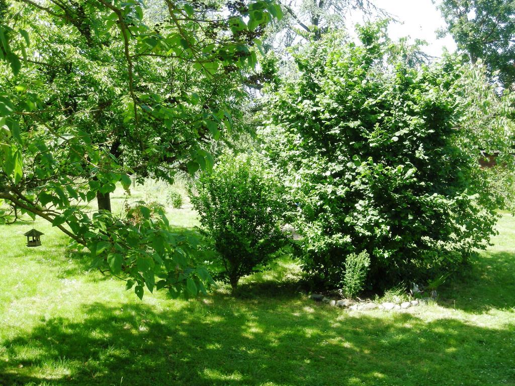 Aux Berges De La Thur Staffelfelden Dış mekan fotoğraf